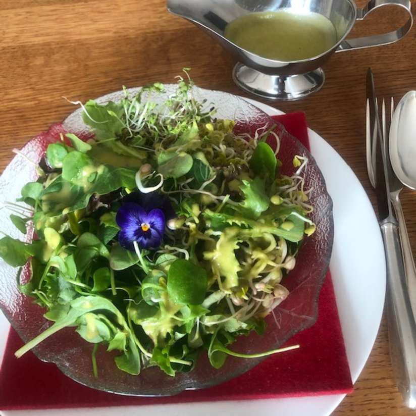 Grüner Salat mit Winterpostelein